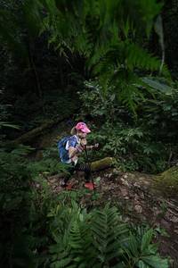 BIB: 5157
                            <button type="button" onclick="openModal(16030219)" class="btn btn-primary btn-sm float-right btn-popup" data-toggle="modal" data-target=".modal-high-quality">
                        <i class="fas fa-shopping-cart"></i> Add to Cart
                    </button>
                                            <button type="button" onclick="isThisMe(16030219, true)" class="btn btn-success btn-sm float-right btn-popup btn-isme hidden" data-toggle="tooltip" data-placement="bottom" title="นี่คือรูปของคุณใช่ไหม คลิกที่นี่เพื่อเอาเข้าอัลบั้ม">
                        <i class="fas fa-plus"></i> Add to album
                    </button>
                    <button type="button" onclick="isThisMe(16030219, false)" class="btn btn-warning btn-sm float-right btn-popup btn-isnotme hidden">
                        <i class="fas fa-ban"></i> Remove from album
                    </button>